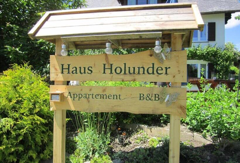 住宿加早餐  Studio Holunder Weissbriach