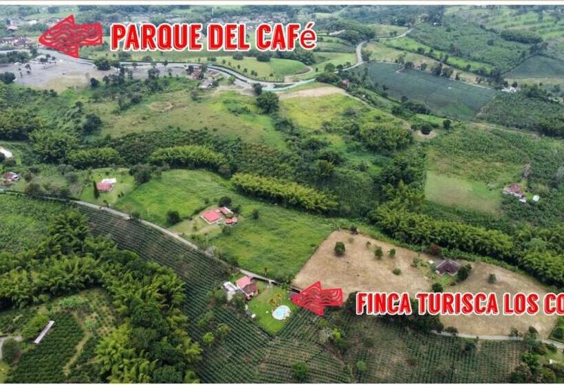 Finca Hotel Los Cocos