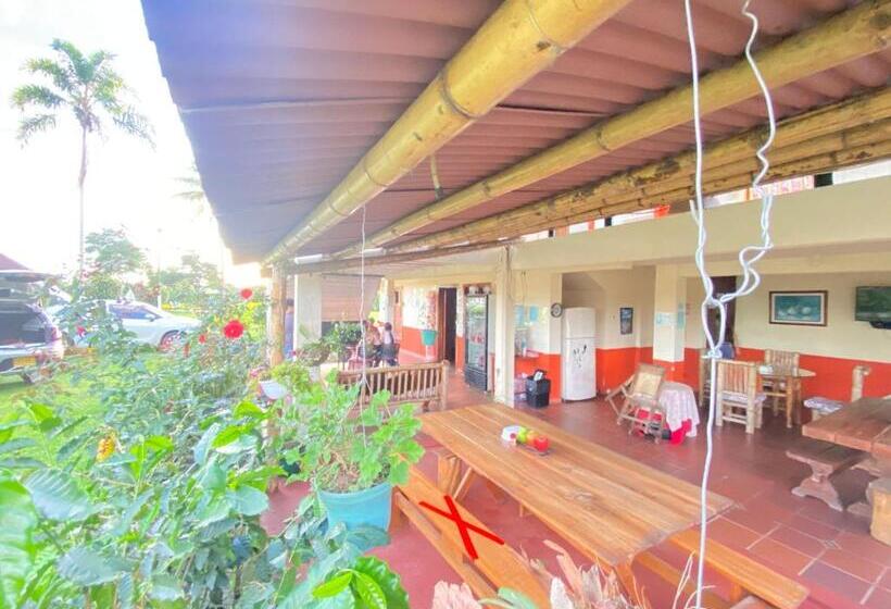 Finca Hotel Los Cocos