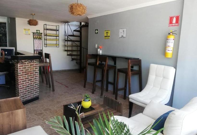 Отель Casa Noah Hostel