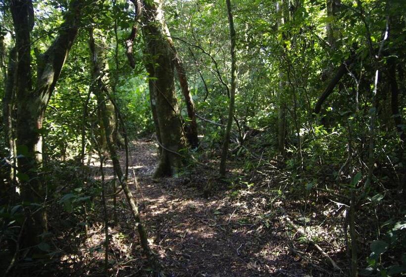 Nafre House B&b Monteverde