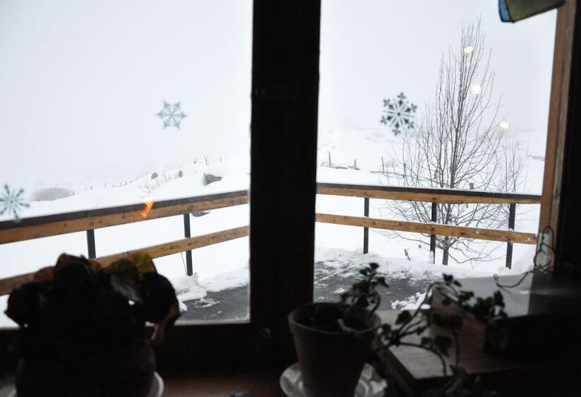 پانسیون House Of The Sun Gudauri