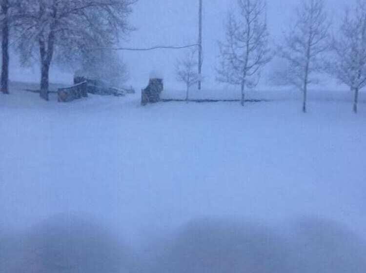 پانسیون House Of The Sun Gudauri