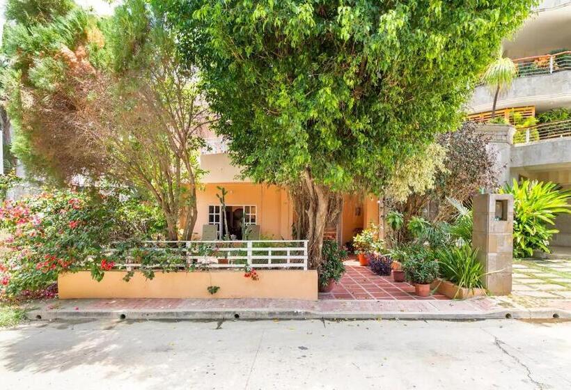 بنسيون Junto Al Mar Y El Manglar