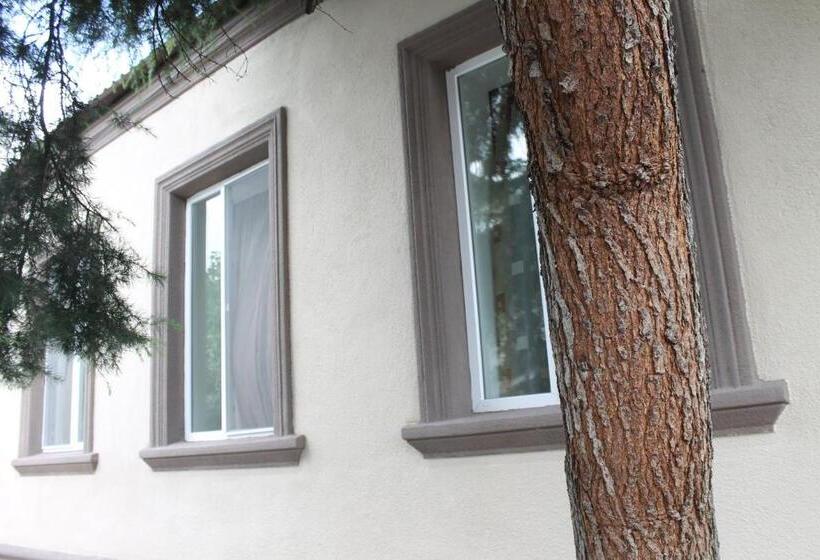 پانسیون L House