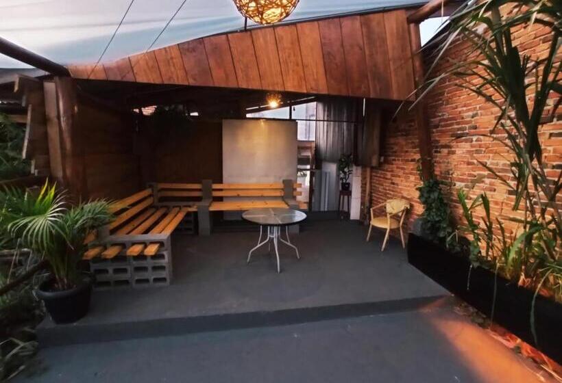 Пансион Nova Pousada Consulado