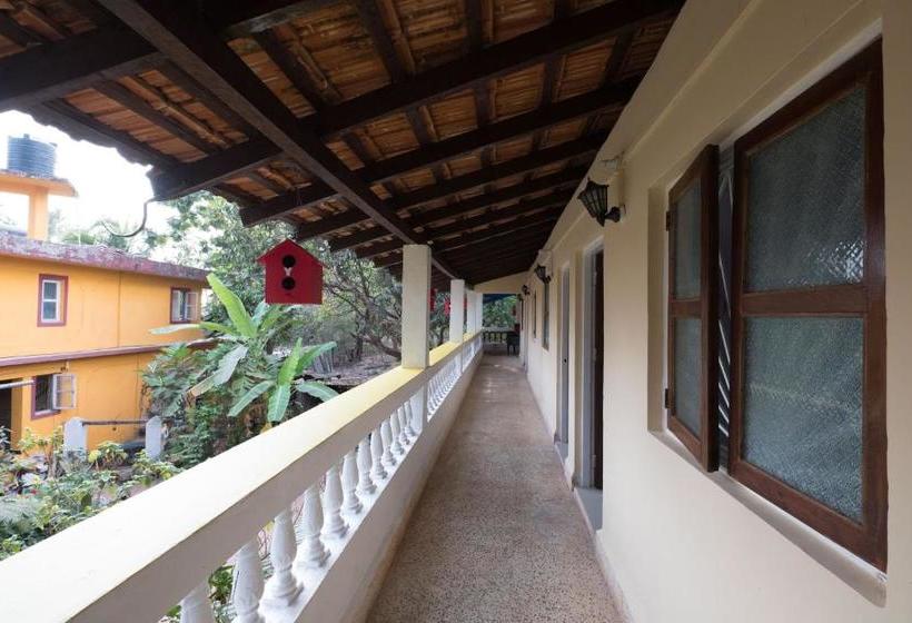 膳宿费 Oyo Home 27665 Elegant Room Anjuna