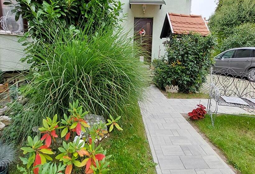 بنسيون Rohonci Vendégház