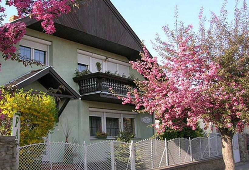 بنسيون Rohonci Vendégház