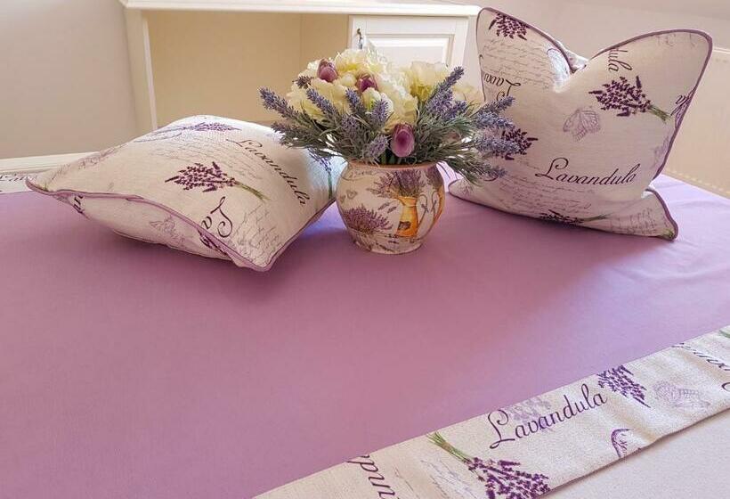 بنسيون Vila Bohemia