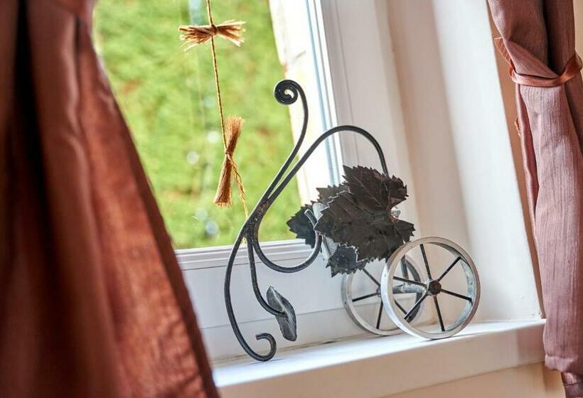 פנסיון Vojtek Pince Vendégház