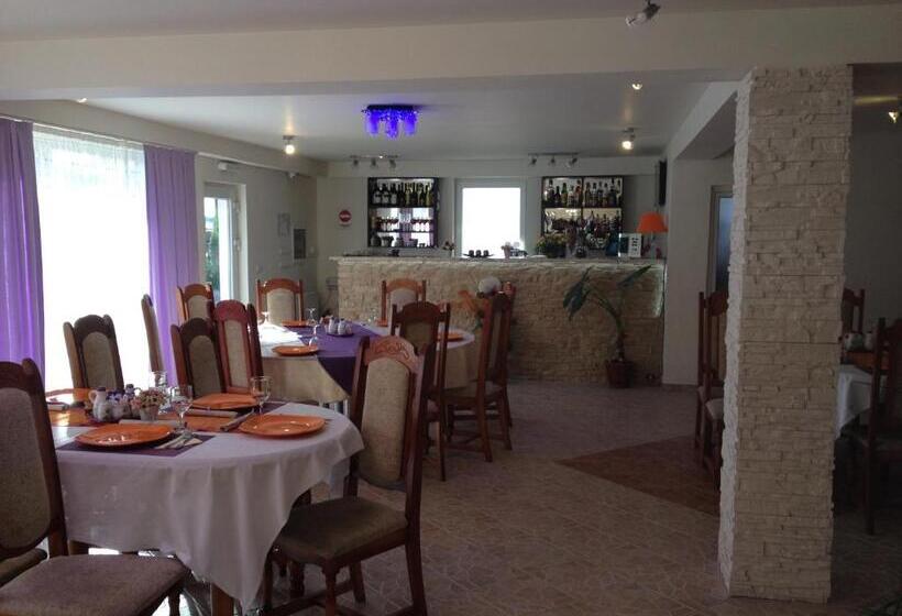 Pensiunea Mountain King