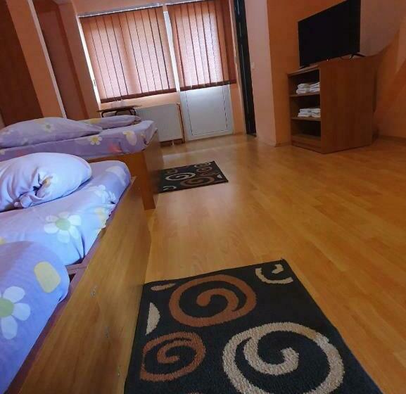 Pensiunea Victoria Sambata De Sus