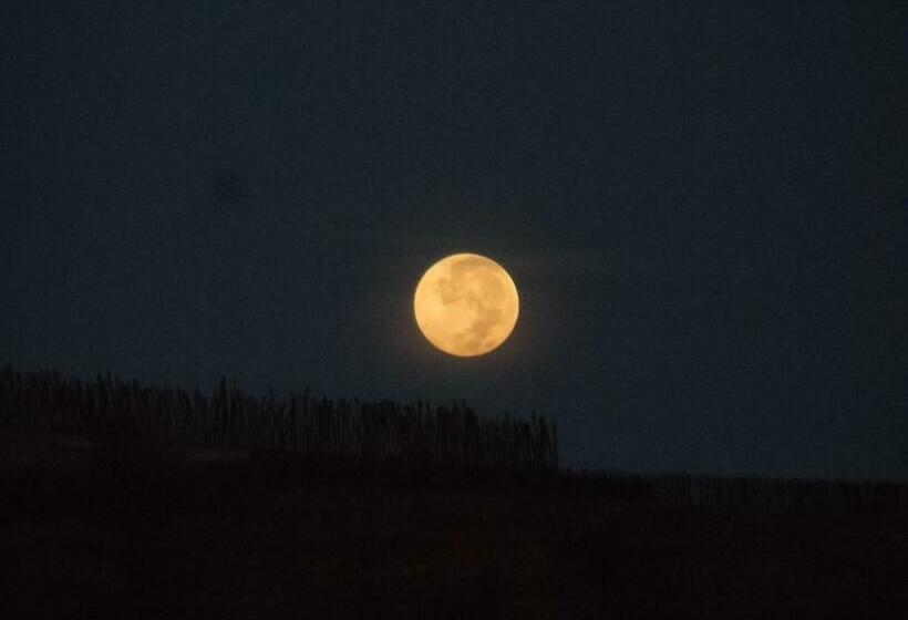 호스텔 Casa Máncora Guesthouse