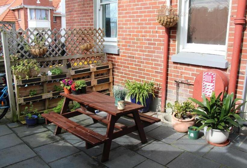 فندق صغير Chalet Backpackers