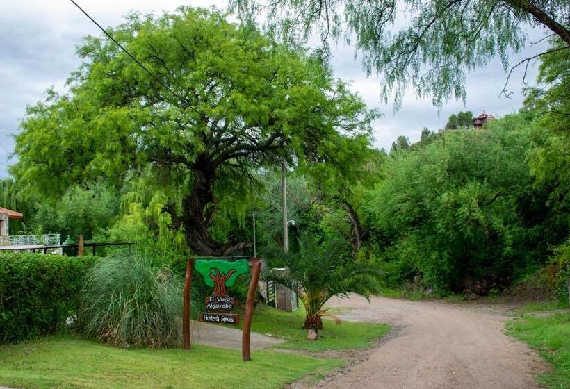 הוסטל El Viejo Algarrobo Hosteria Serrana