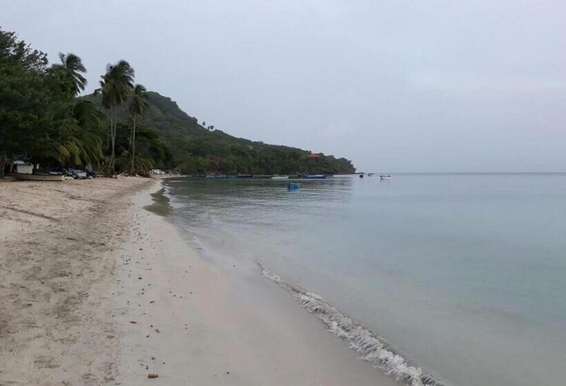 ユースホステル Posada Miss Portia