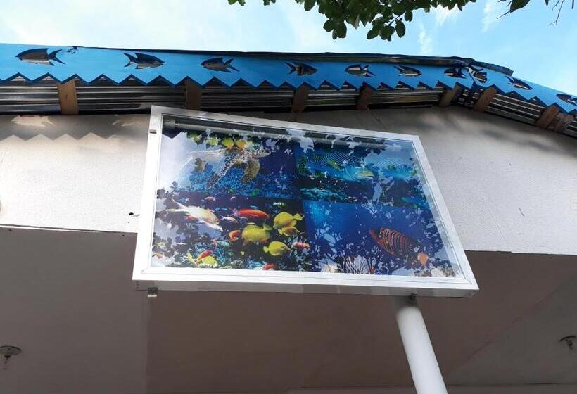 ユースホステル Posada Miss Portia