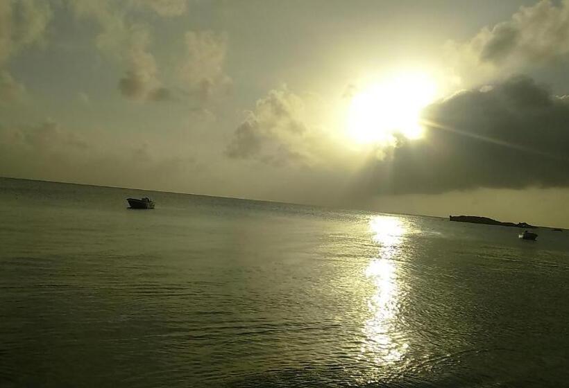 ユースホステル Posada Miss Portia