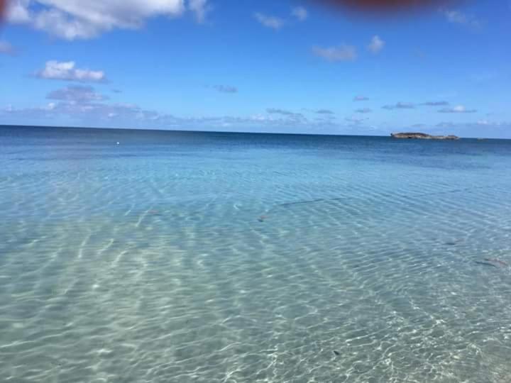 ユースホステル Posada Miss Portia