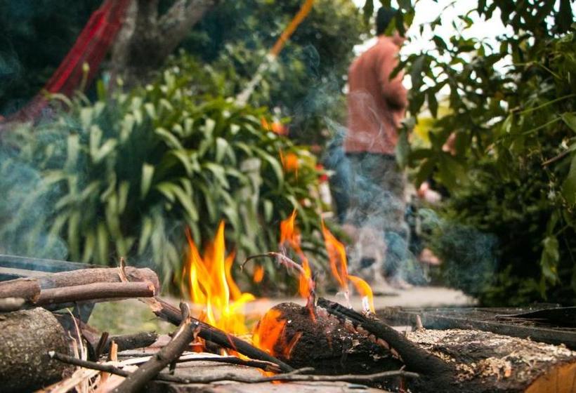 הוסטל The Palace Backpackers