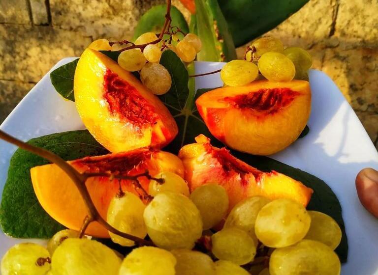 مبيت وإفطار Masseria Le Dimore