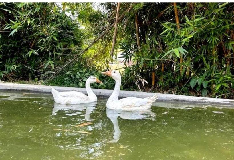 Click Resort Corbett Tiger Den