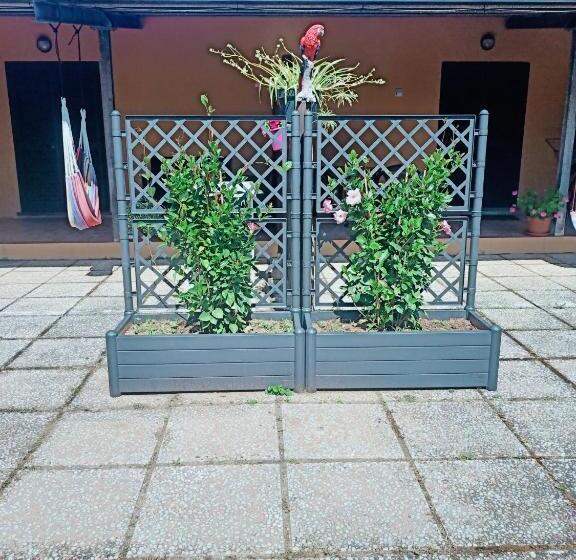 Отель Agriturismo Il Cipresso