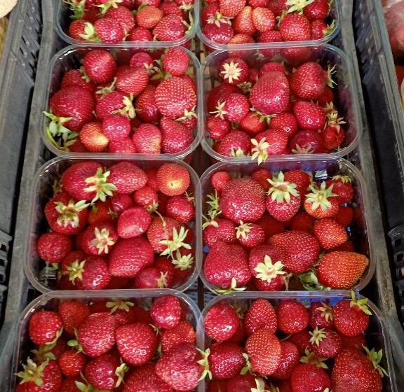 Отель Agriturismo Il Cipresso