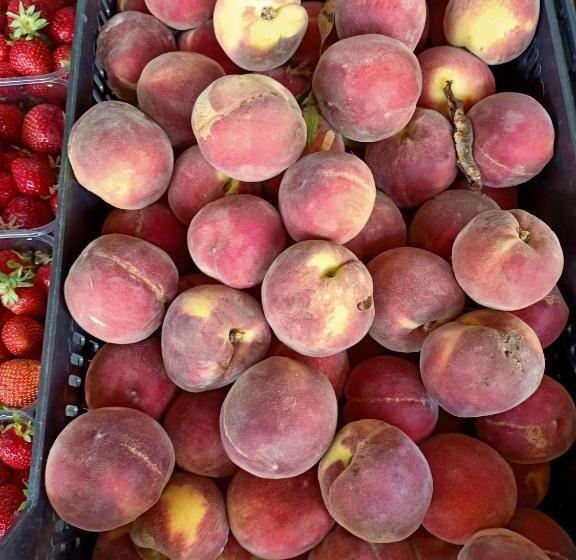 Отель Agriturismo Il Cipresso