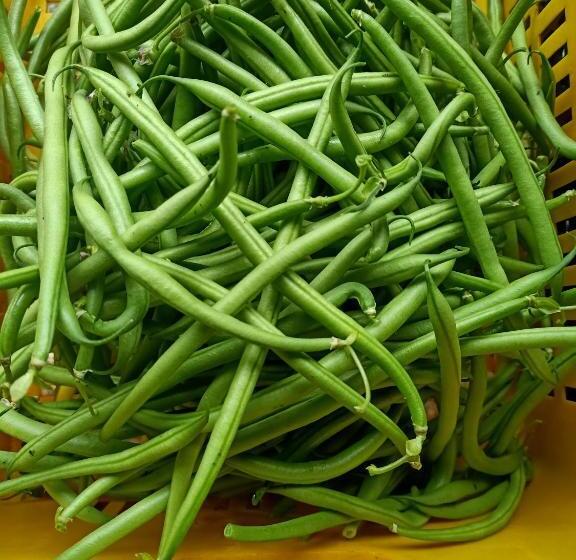 Отель Agriturismo Il Cipresso