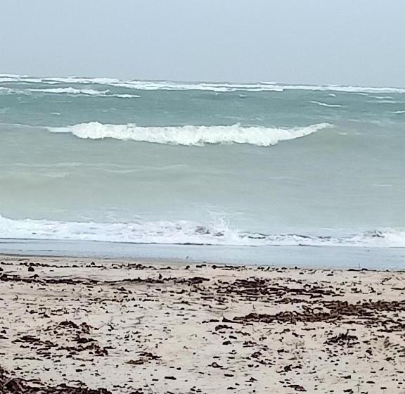 Отель Agriturismo Il Cipresso