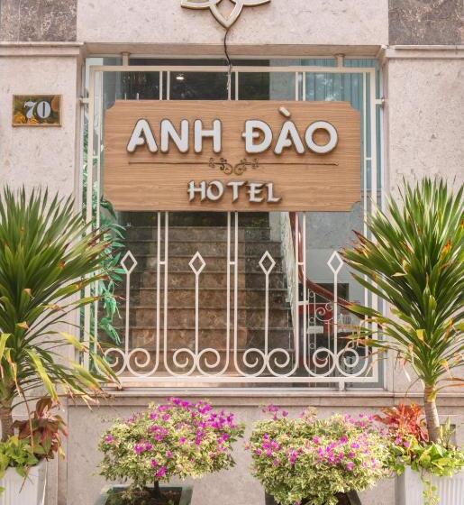 هتل Anh Dao