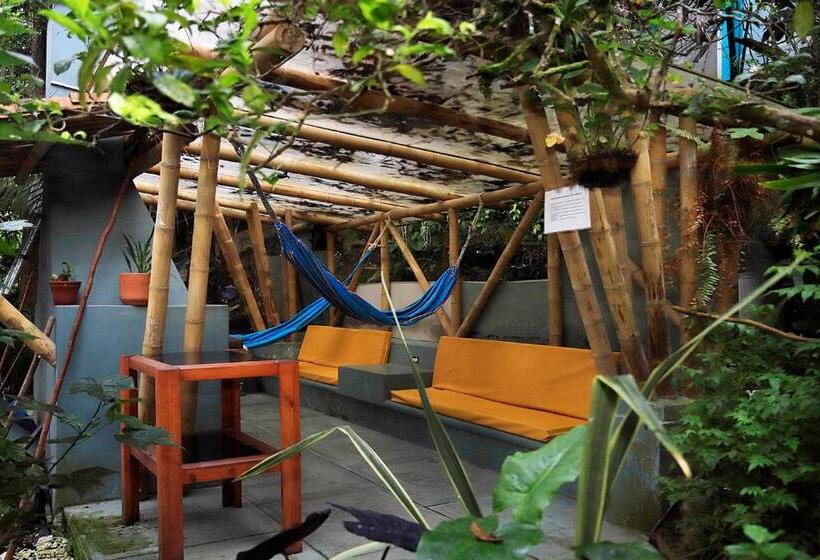 酒店 Casa De Las Dos Palmas