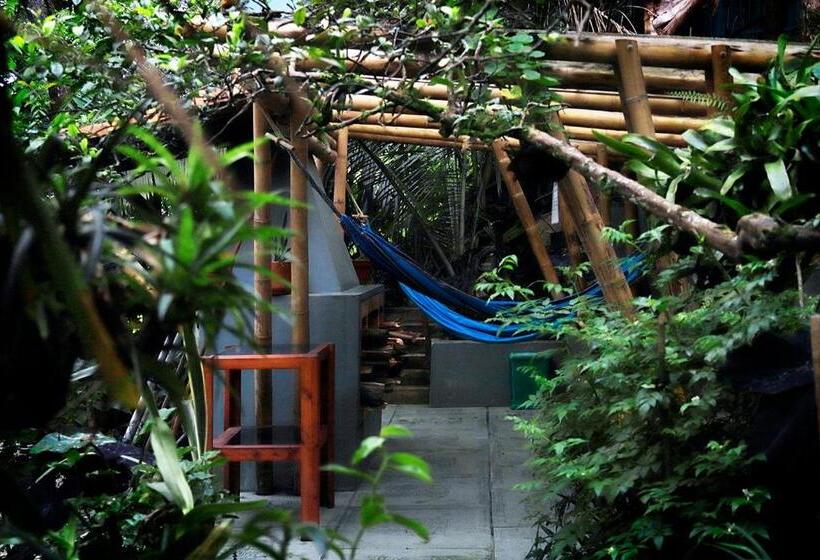 هتل Casa De Las Dos Palmas