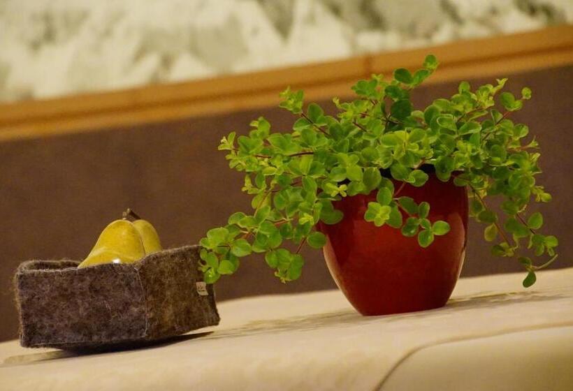 호텔 Garnì Tofana