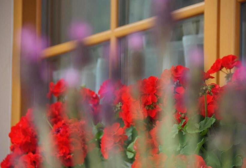 호텔 Garnì Tofana