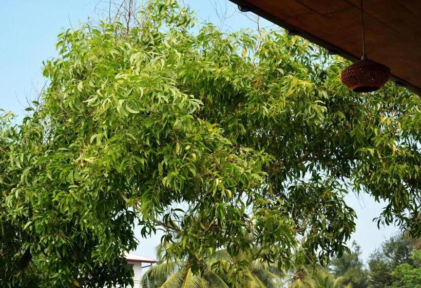 Отель Hikkaduwa Blue Ocean