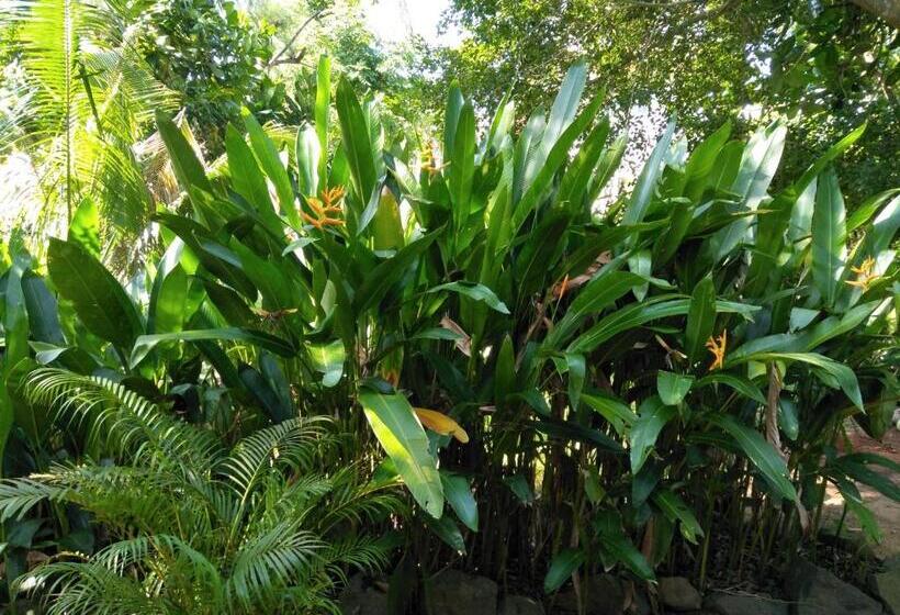 Отель Hikkaduwa Blue Ocean