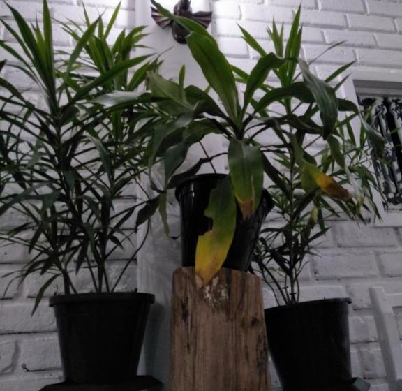 Отель Hikkaduwa Blue Ocean