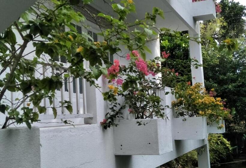 Отель Hikkaduwa Blue Ocean