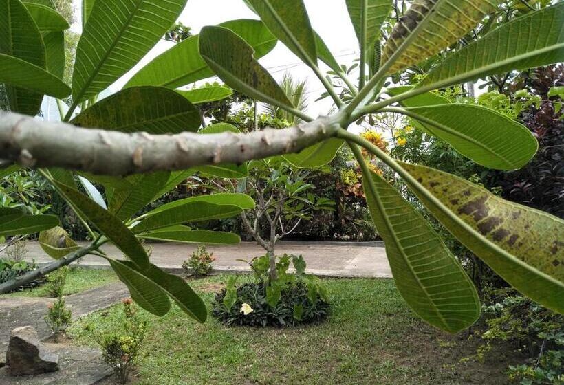 Отель Hikkaduwa Blue Ocean