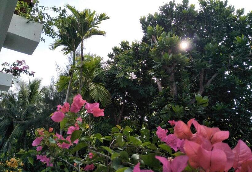 Отель Hikkaduwa Blue Ocean