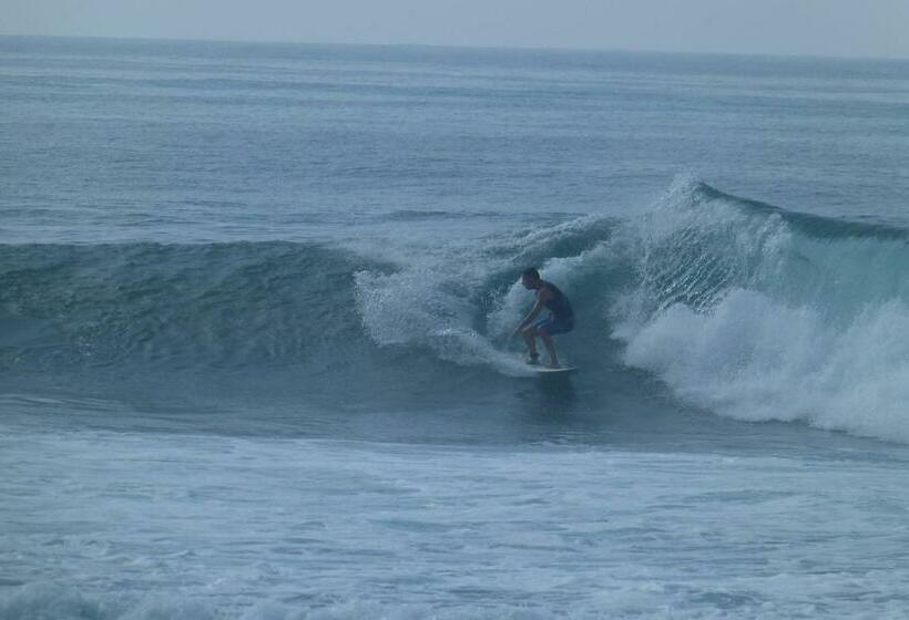 ホテル Jayanthi Surf Dreams