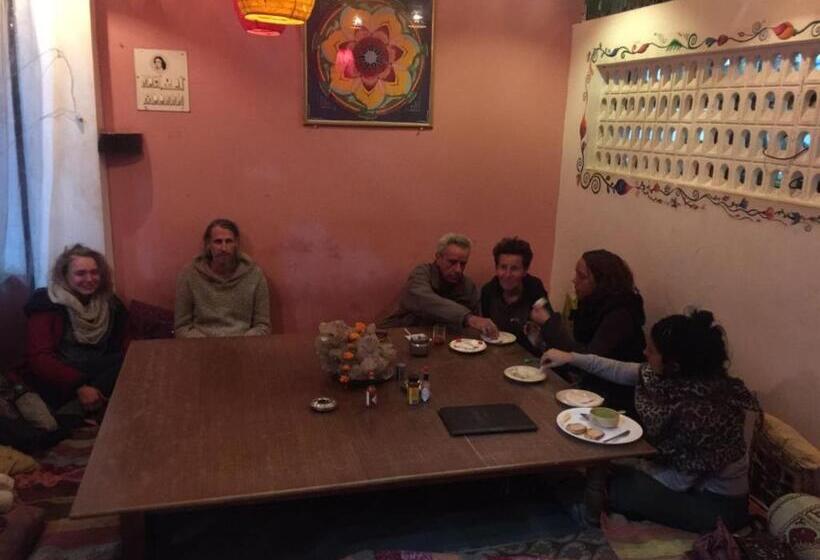 Отель Pawan's Palace