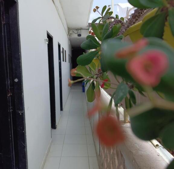 Отель Riviera Central