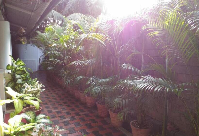 פנסיון Alba Rooms Palolem Rosebuds