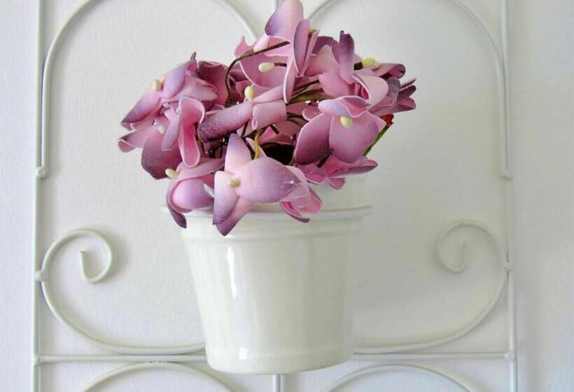 פנסיון Apartments Nemira