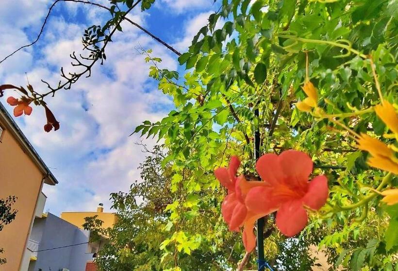 פנסיון Apartments Nemira