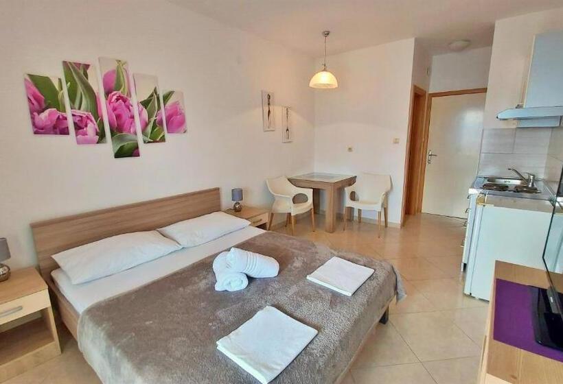 פנסיון Apartments Nemira